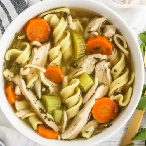 Bowl of homemade chicken noodle soup with chicken, carrots, and egg noodles