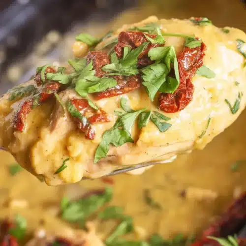 A variety of easy Chicken Crock Pot Meals for busy weeknight dinners.