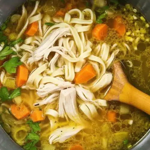 Bowl of Instant Pot Chicken Noodle Soup with chicken, carrots, and noodles in broth.
