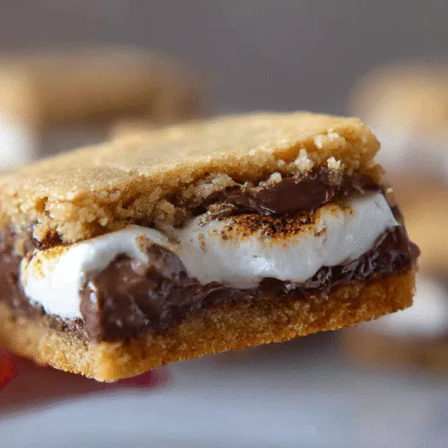 The Best s’mores cookie bars